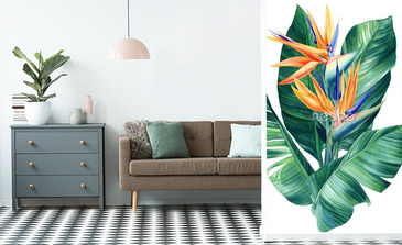 Visualisation du produit