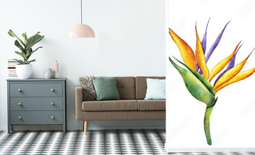 Visualisation du produit