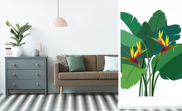 Visualisation du produit