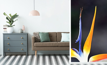 Visualisation du produit