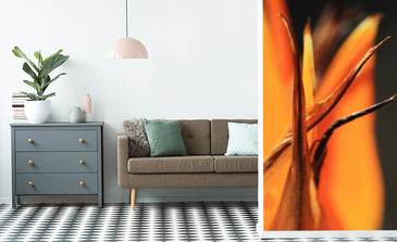 Visualisation du produit