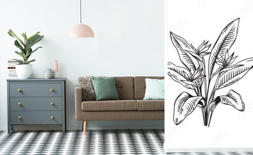 Visualisation du produit