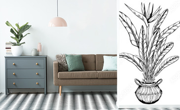 Visualisation du produit