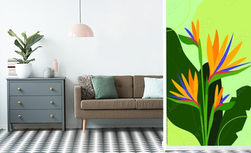 Visualisation du produit