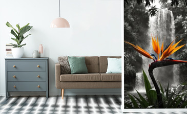 Visualisation du produit