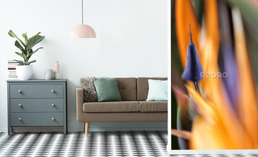 Visualisation du produit