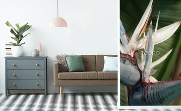 Visualisation du produit