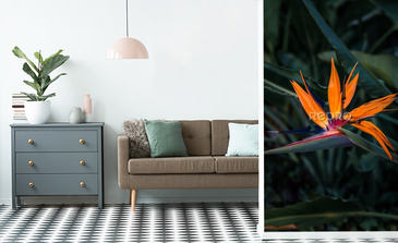 Visualisation du produit