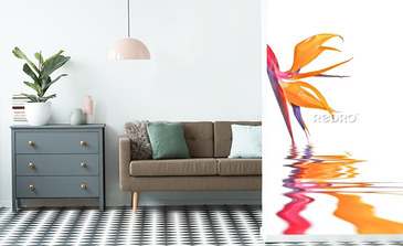 Visualisation du produit