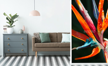 Visualisation du produit