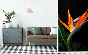 Visualisation du produit