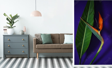 Visualisation du produit