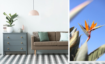 Visualisation du produit