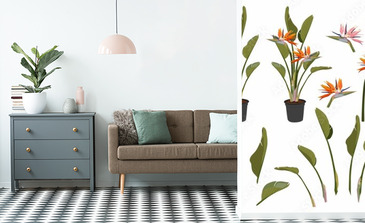 Visualisation du produit