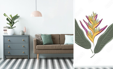 Visualisation du produit