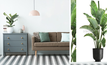 Visualisation du produit