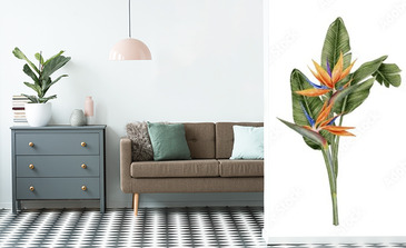 Visualisation du produit