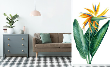 Visualisation du produit