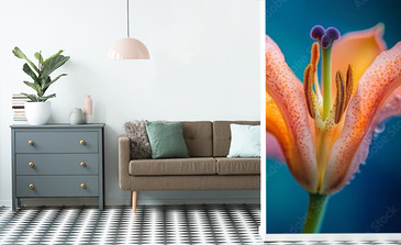 Visualisation du produit