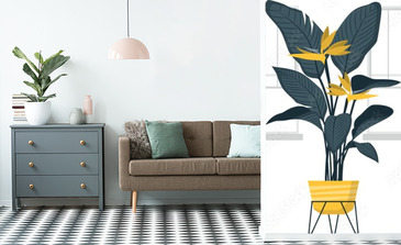 Visualisation du produit