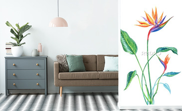 Visualisation du produit