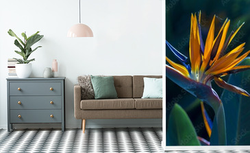 Visualisation du produit