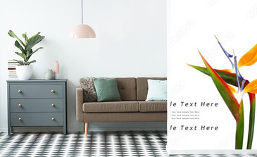 Visualisation du produit