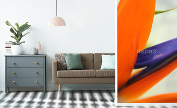 Visualisation du produit