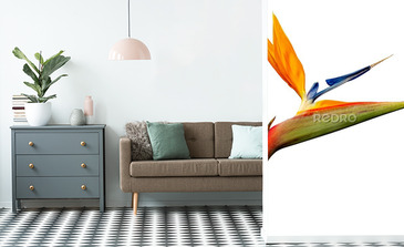 Visualisation du produit