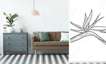 Visualisation du produit