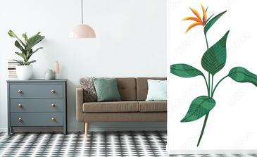 Visualisation du produit