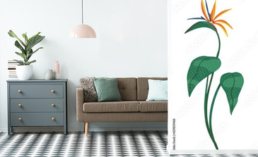 Visualisation du produit