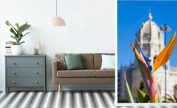 Visualisation du produit