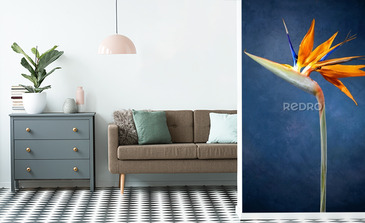 Visualisation du produit