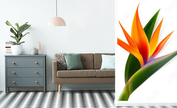 Visualisation du produit