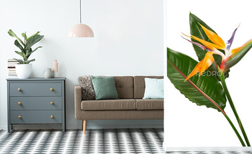 Visualisation du produit