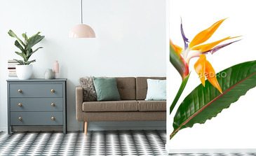 Visualisation du produit