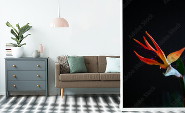 Visualisation du produit