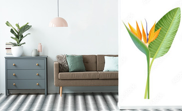 Visualisation du produit