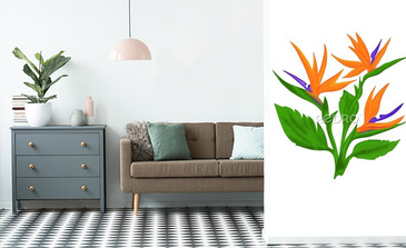 Visualisation du produit