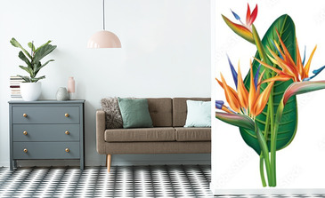 Visualisation du produit