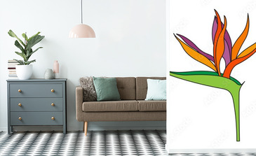 Visualisation du produit