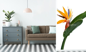 Visualisation du produit