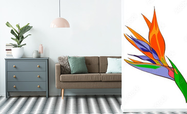 Visualisation du produit