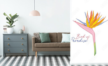 Visualisation du produit