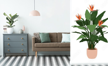 Visualisation du produit