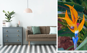 Visualisation du produit