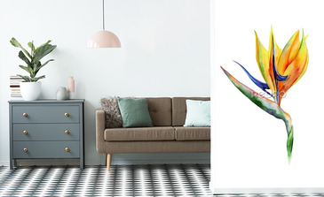 Visualisation du produit