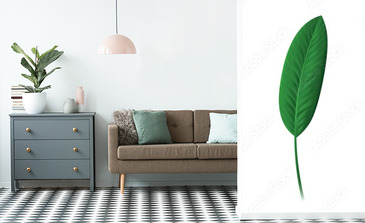 Visualisation du produit