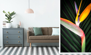 Visualisation du produit